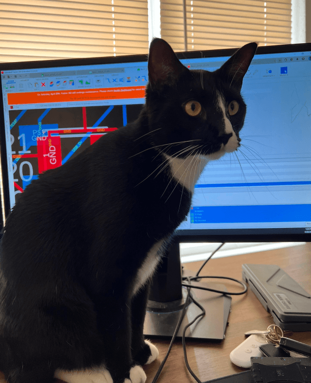 A cat sitting at a workstation in front of PCB design software.